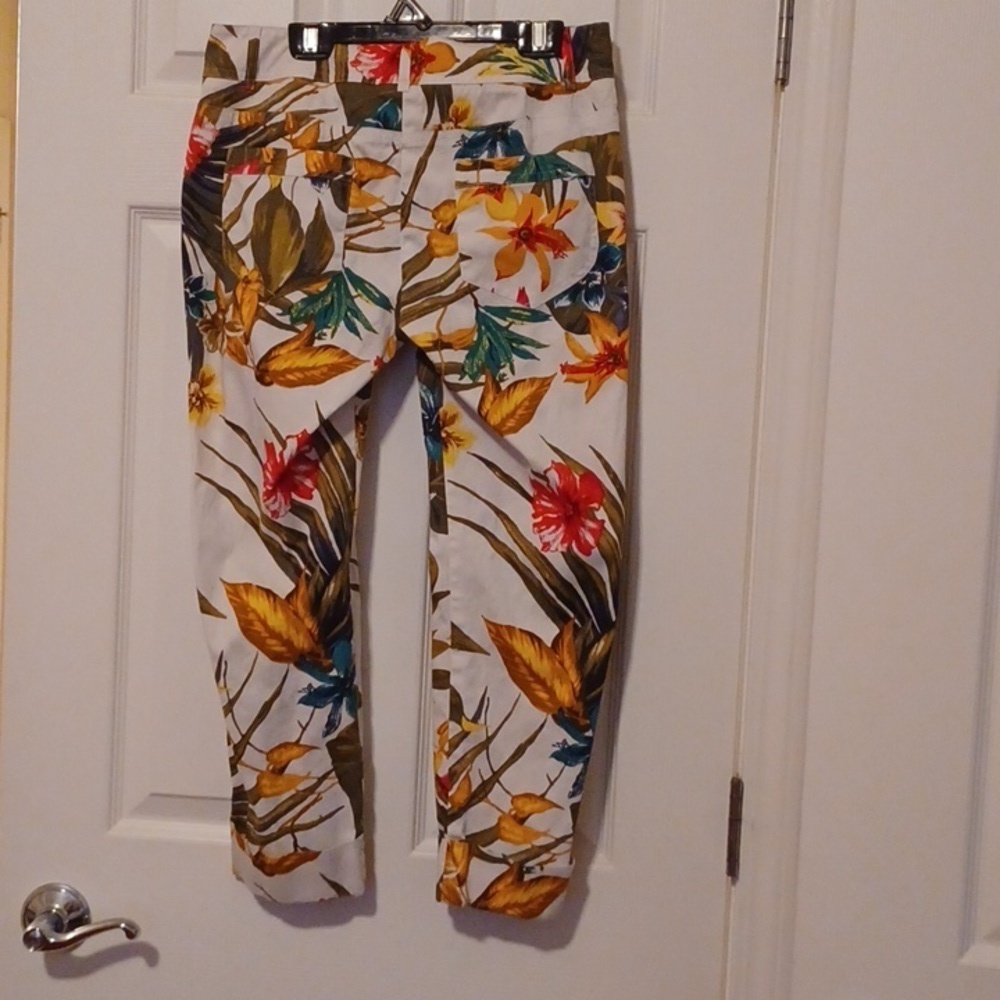 -- Cache Multicolor Leaf Print Pants - Picture 7 of 10